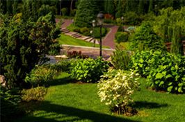 Réussir l'aménagement d'un jardin en pente.