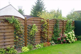 Brise vue jardin : conseils d'installation.