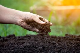 Terreau de jardin: universel, horticole, bruyère? Savoir choisir! I JardinDéco