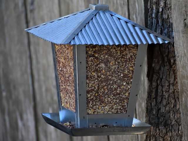 alimentation-oiseaux-pas-cher