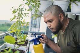 Comment créer un potager sur un balcon ?