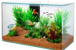 Produits pour aquarium