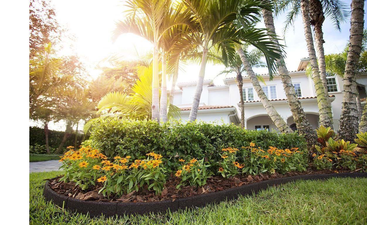 Bordure d'allée : aménager et décorer son jardin