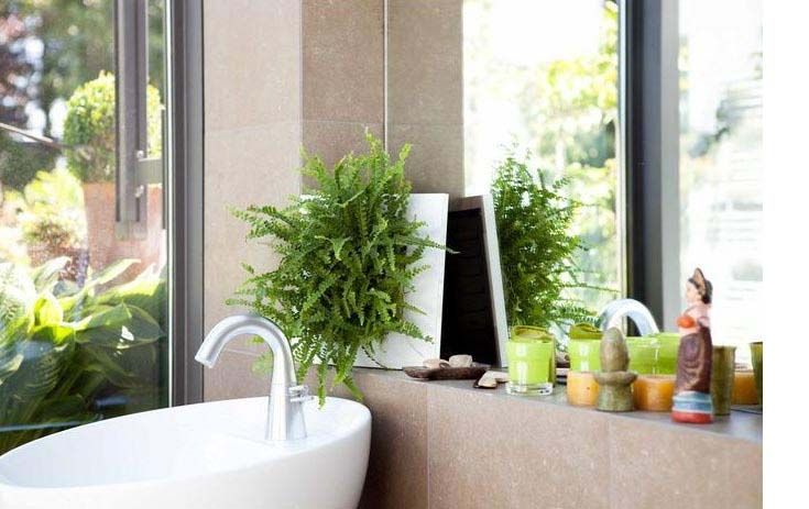 decoration-murale-salle-de-bain-cadre-vegetal-naturel