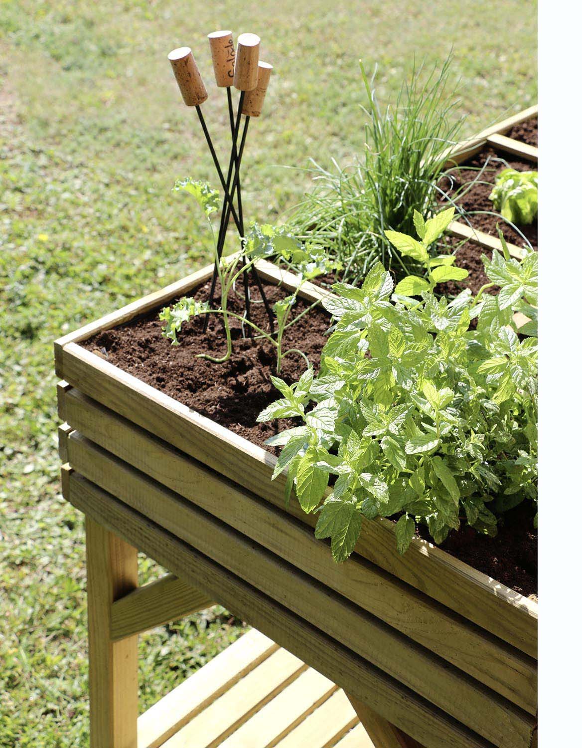 Apprendre A Faire Un Potager Faire un potager : les 4 étapes à suivre - Jardindeco