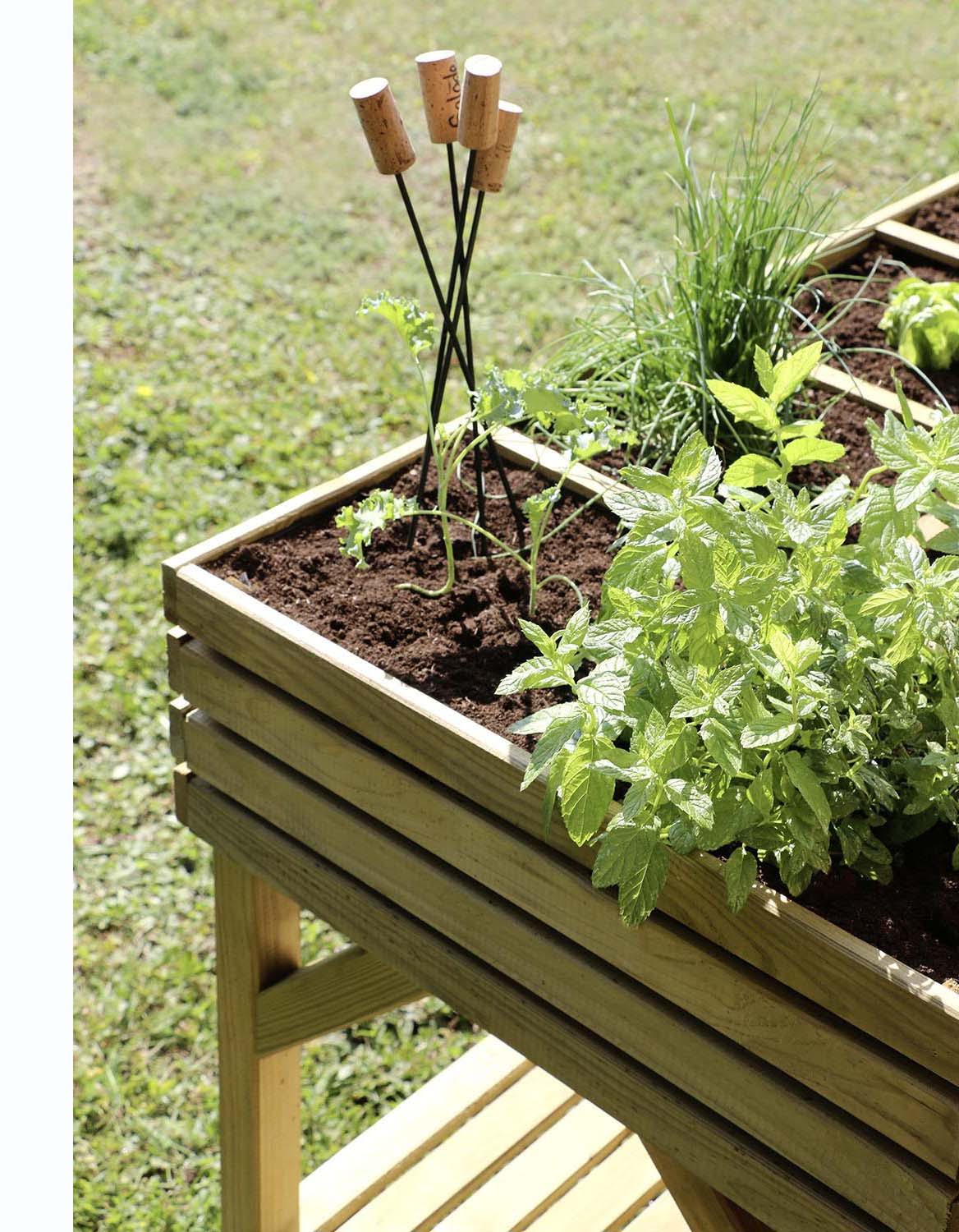 Tout savoir sur le potager d'intérieur - On a pensé à un truc