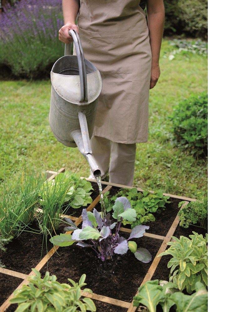 potager-maison-en-carre