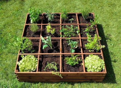 carre-potager-en-bois