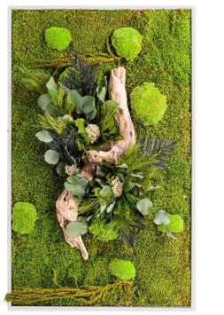 tableau-vegetal-stabilise-mousse-et-lichen