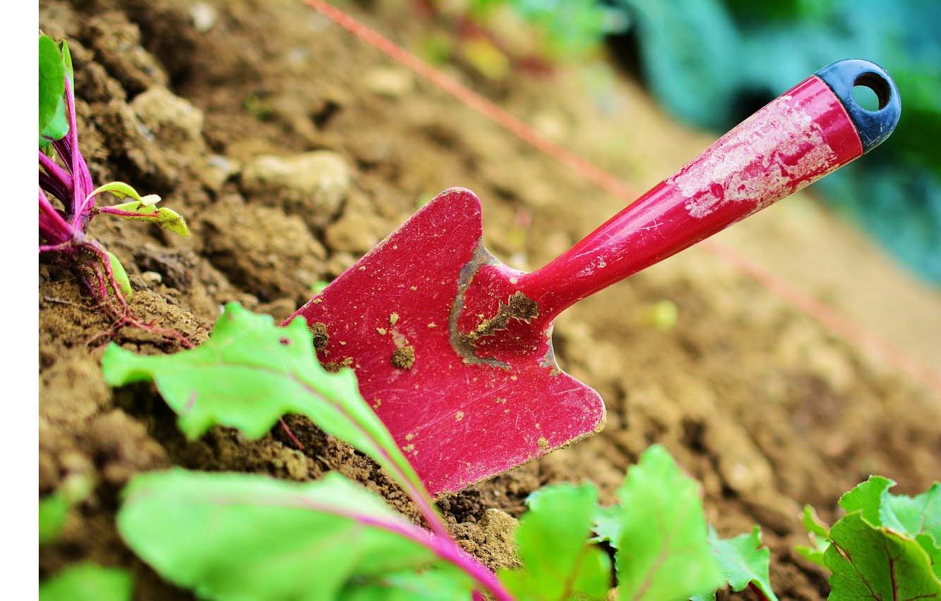 potager-hiver-outil-jardinage