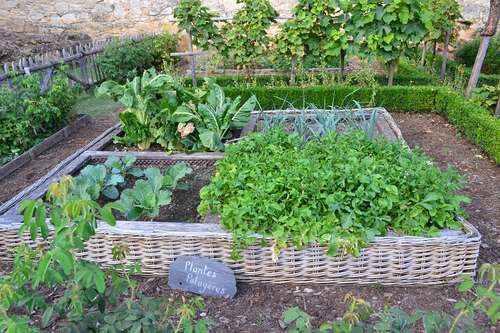 amenager-carre-potager-en-ville