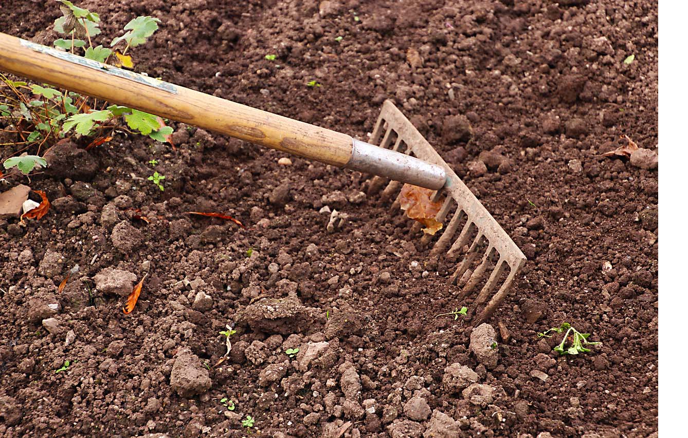 potager-hiver-desherber