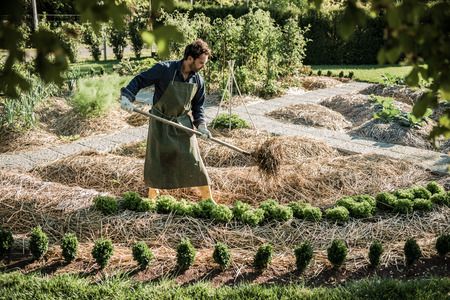 Toile paillage Chanvre - Haie - Vente en ligne au meilleur prix