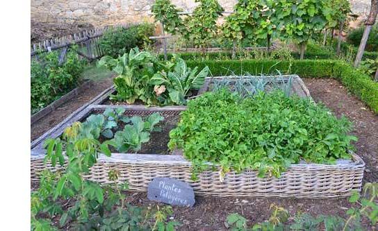 Terreaux pour plantes de jardin et potager