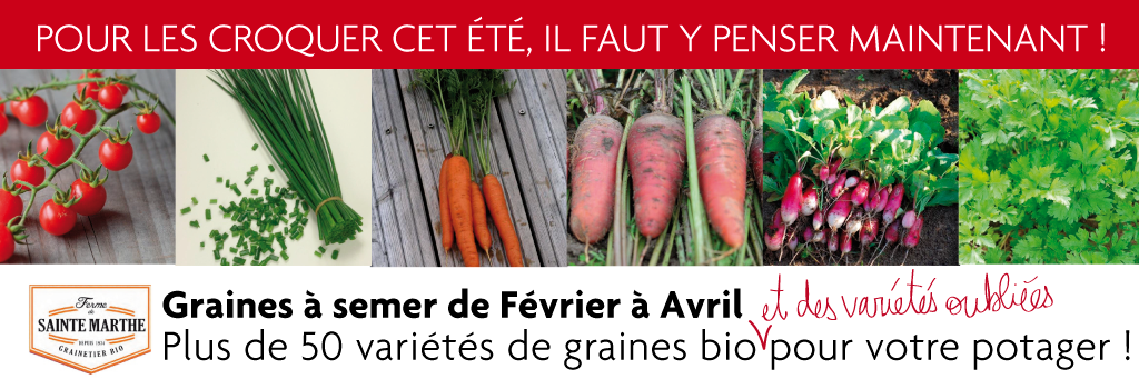 Pensez aux graines bio Jardindéco pour votre potager : evenenement shopping sur Jardindeco.com