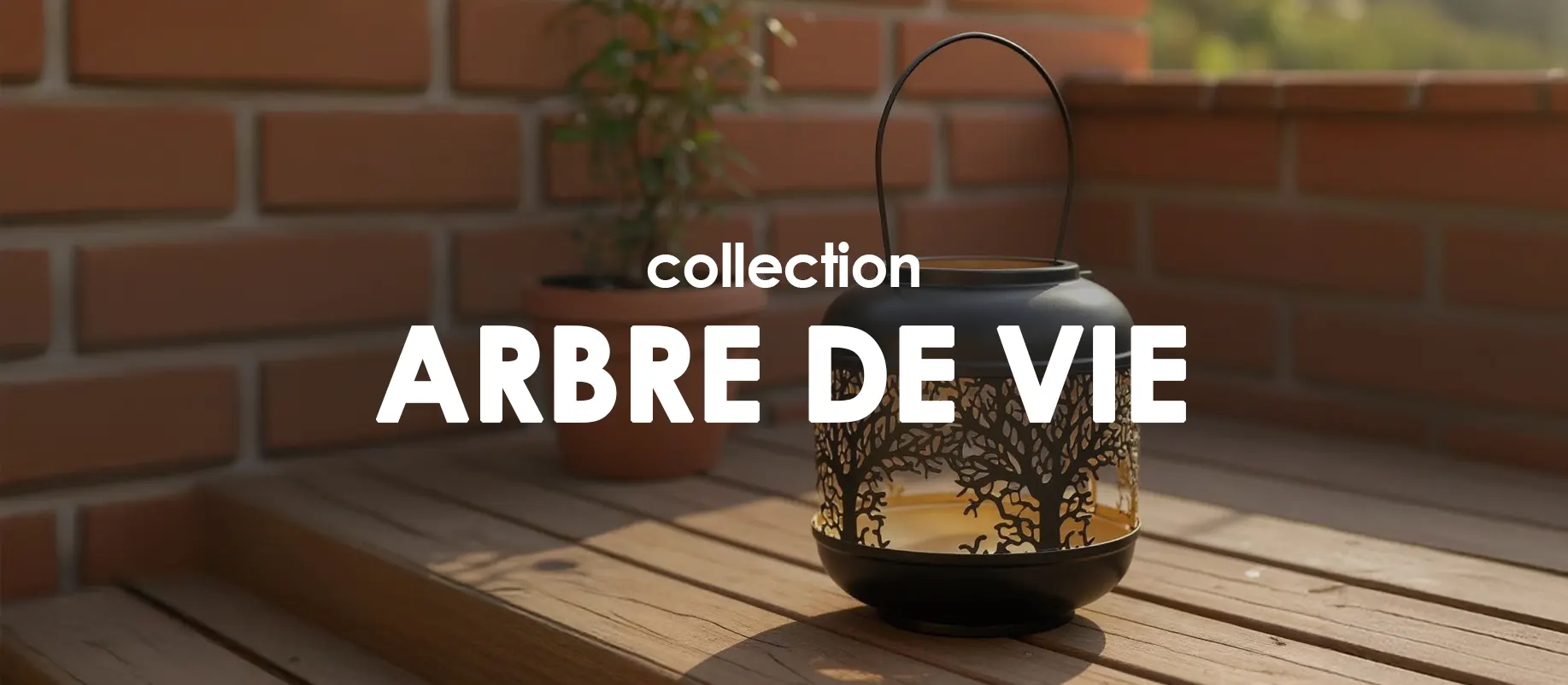 Collection Arbre de vie : Collection shopping sur Jardindeco.com