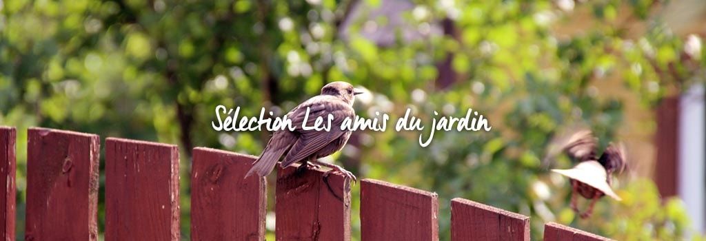 Sélection Les amis du jardin : evenenement shopping sur Jardindeco.com