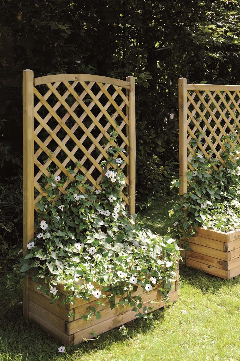 Le treillis de jardin : un support idéal pour sublimer vos plantes  grimpantes