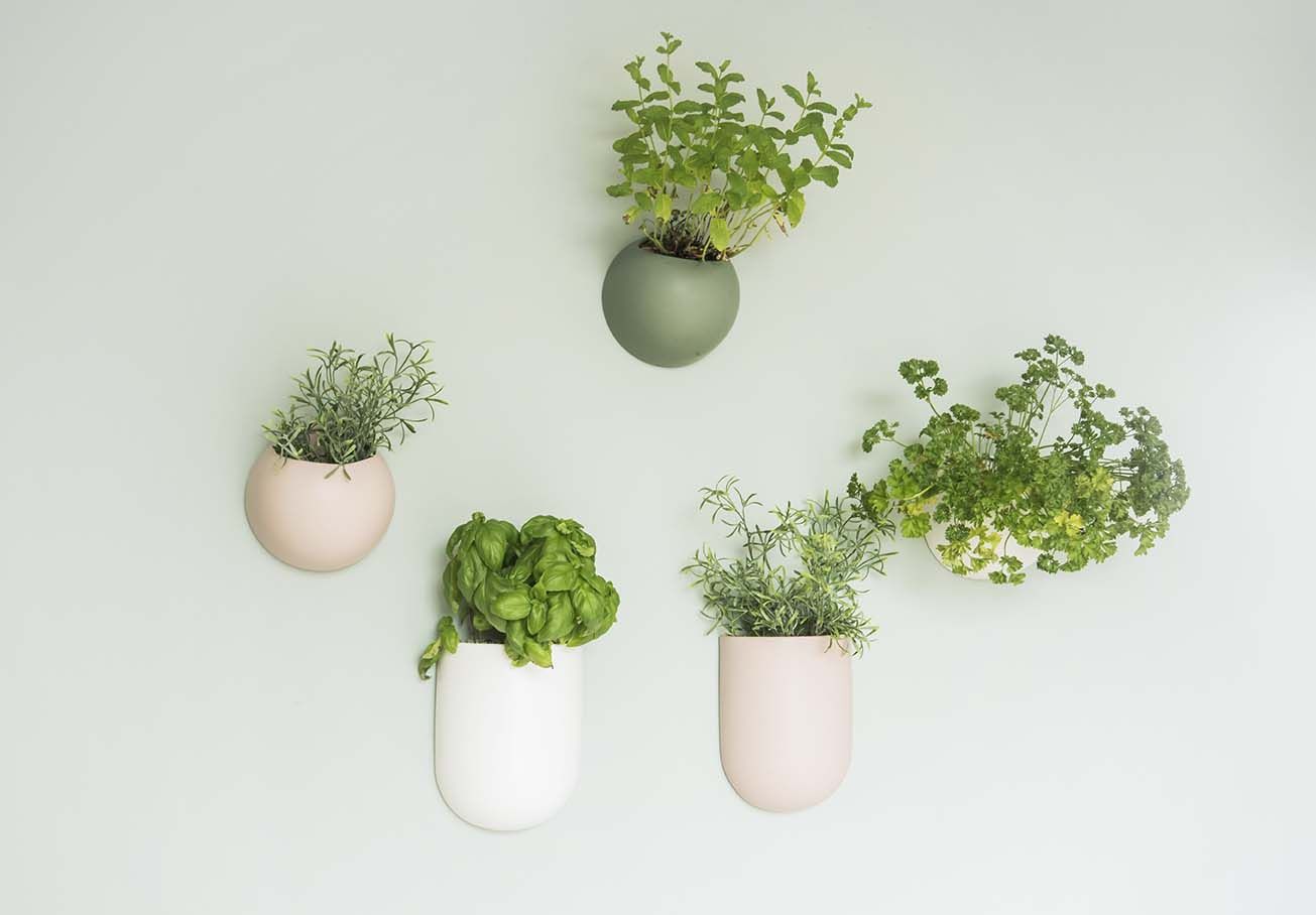 Vente Support mural pour plantes