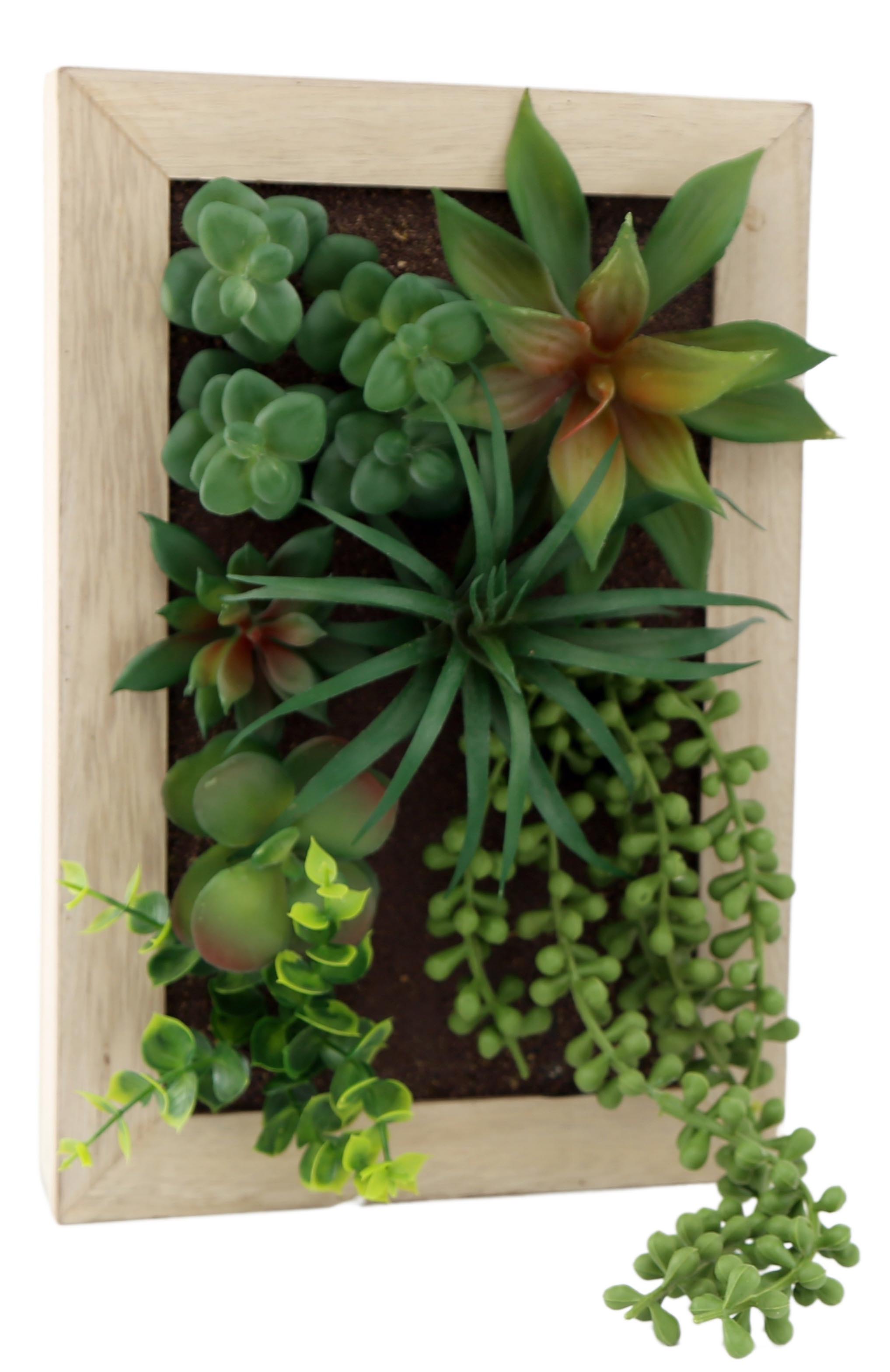 Plante verte charnue de simulation ronde, cadre mural, décoration