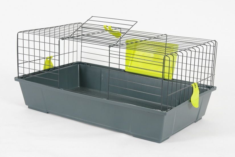 Cage gros rongeurs classic anis (80 cm)