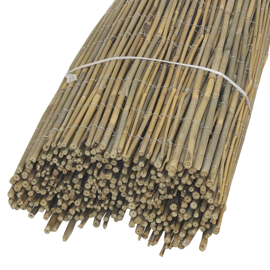 Sitemapcdatahttpsshopinf Inetcomcanisse Bambou 1 5 M X 5m