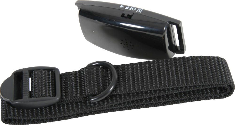 Collier anti aboiement petit chien