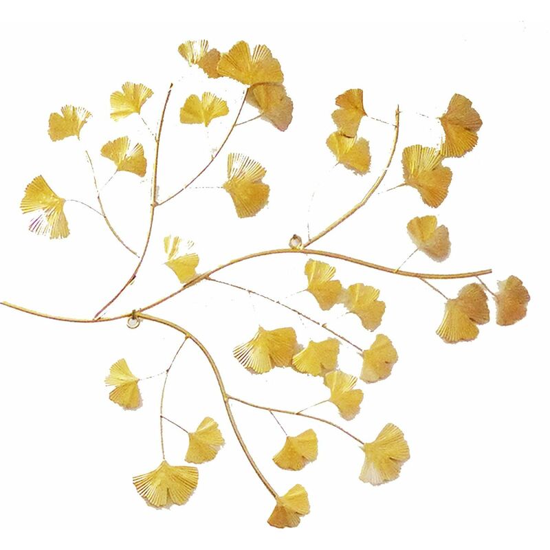 Décoration murale en métal doré ginko