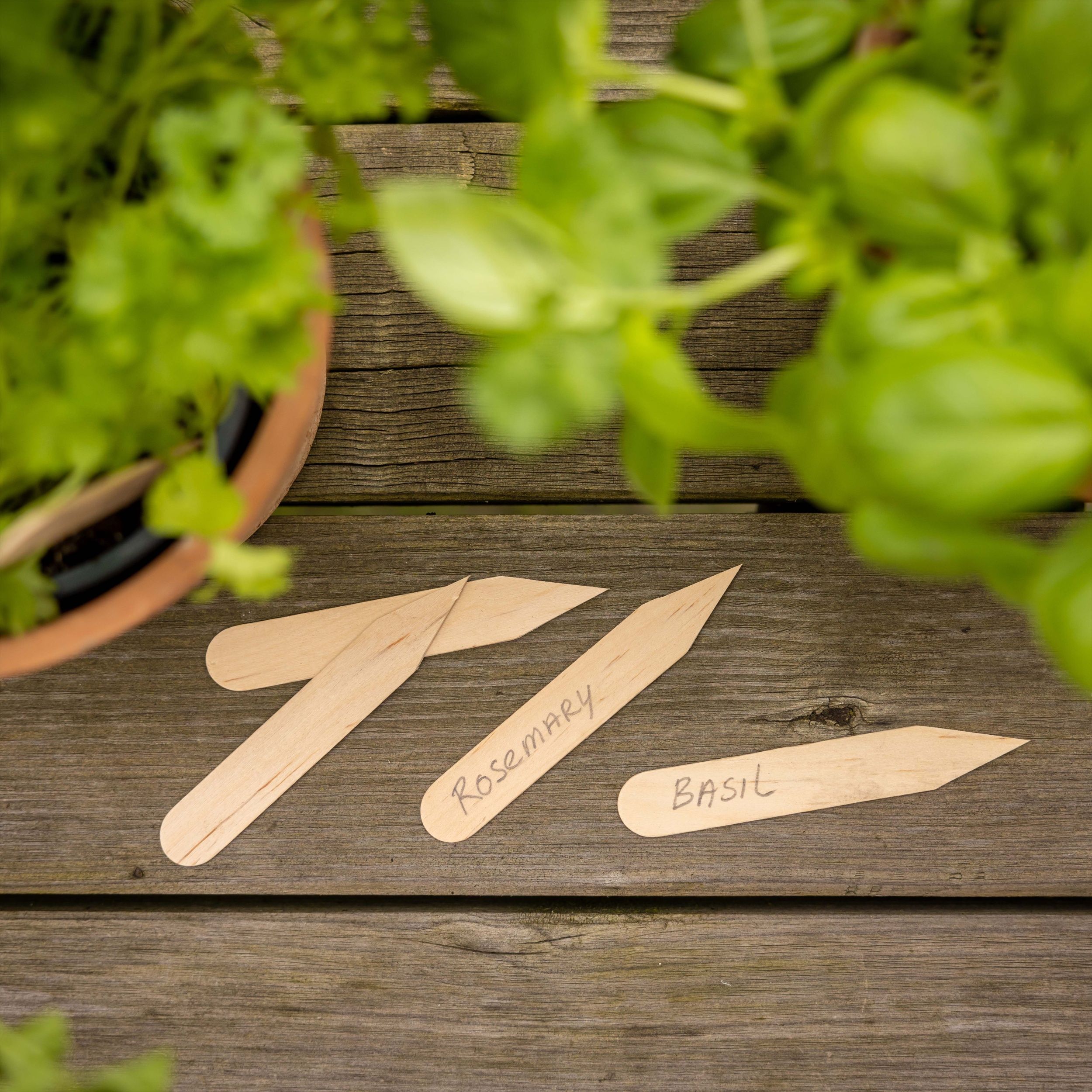 Étiquettes Végétales Réutilisables Pour Jardin De Pépinière Facile à