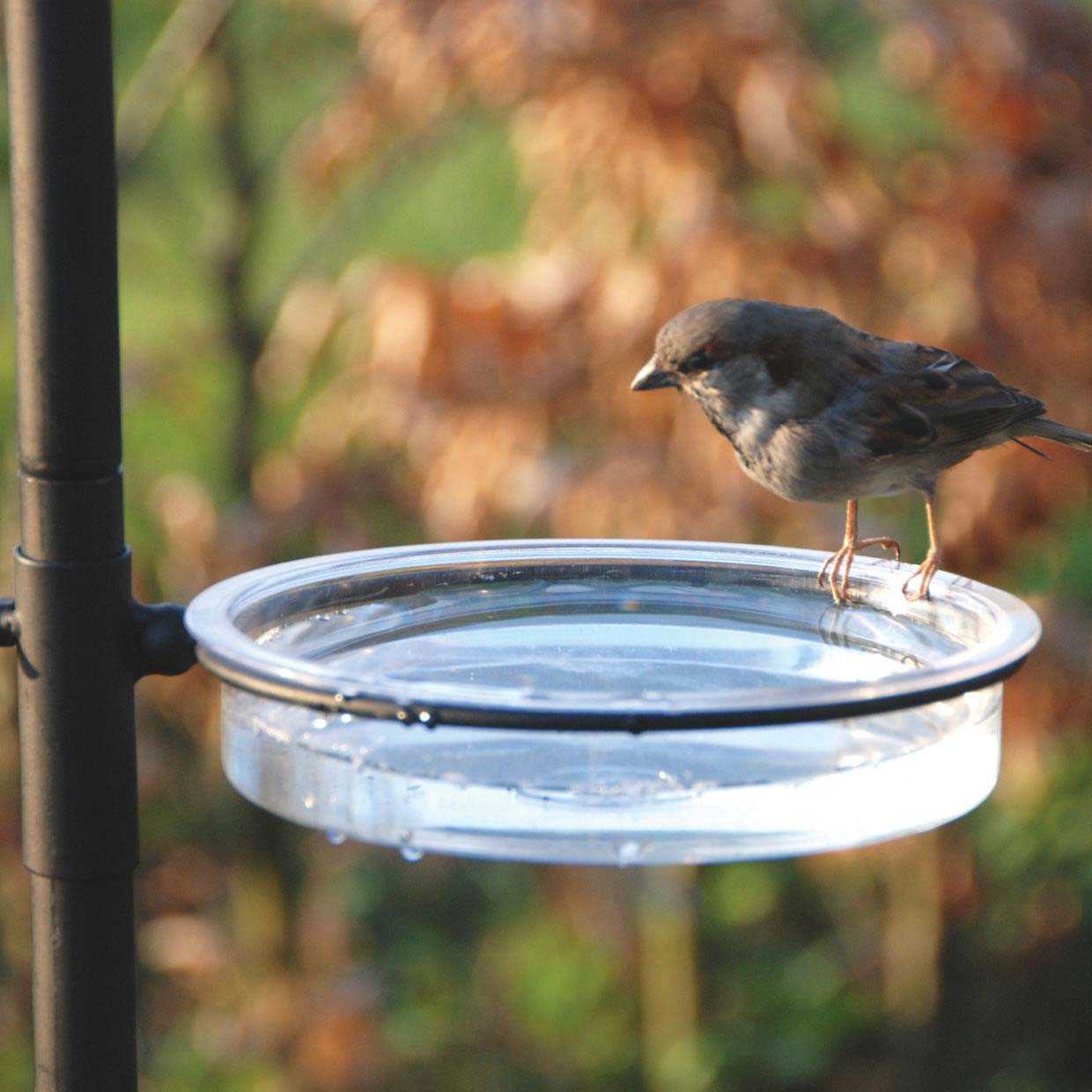 Mangeoires Pour Oiseaux Sauvages, 4Pcs Mangeoire À Oiseaux Suspendue À