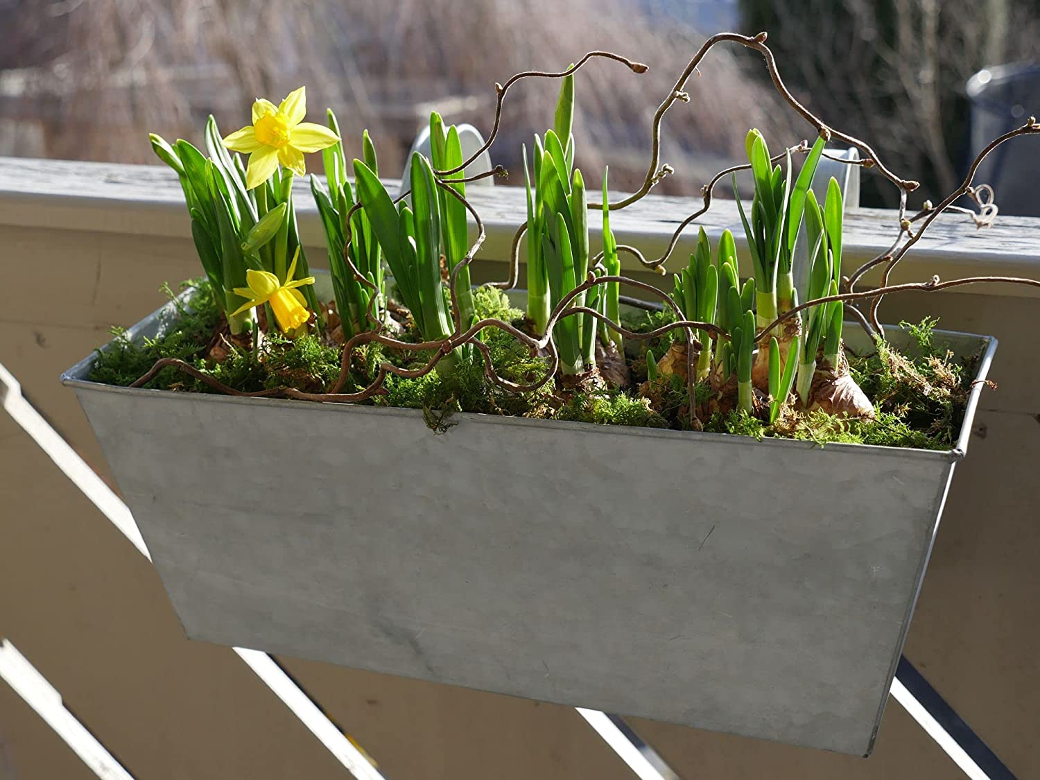 support-pour-plantes-exterieur-balcon