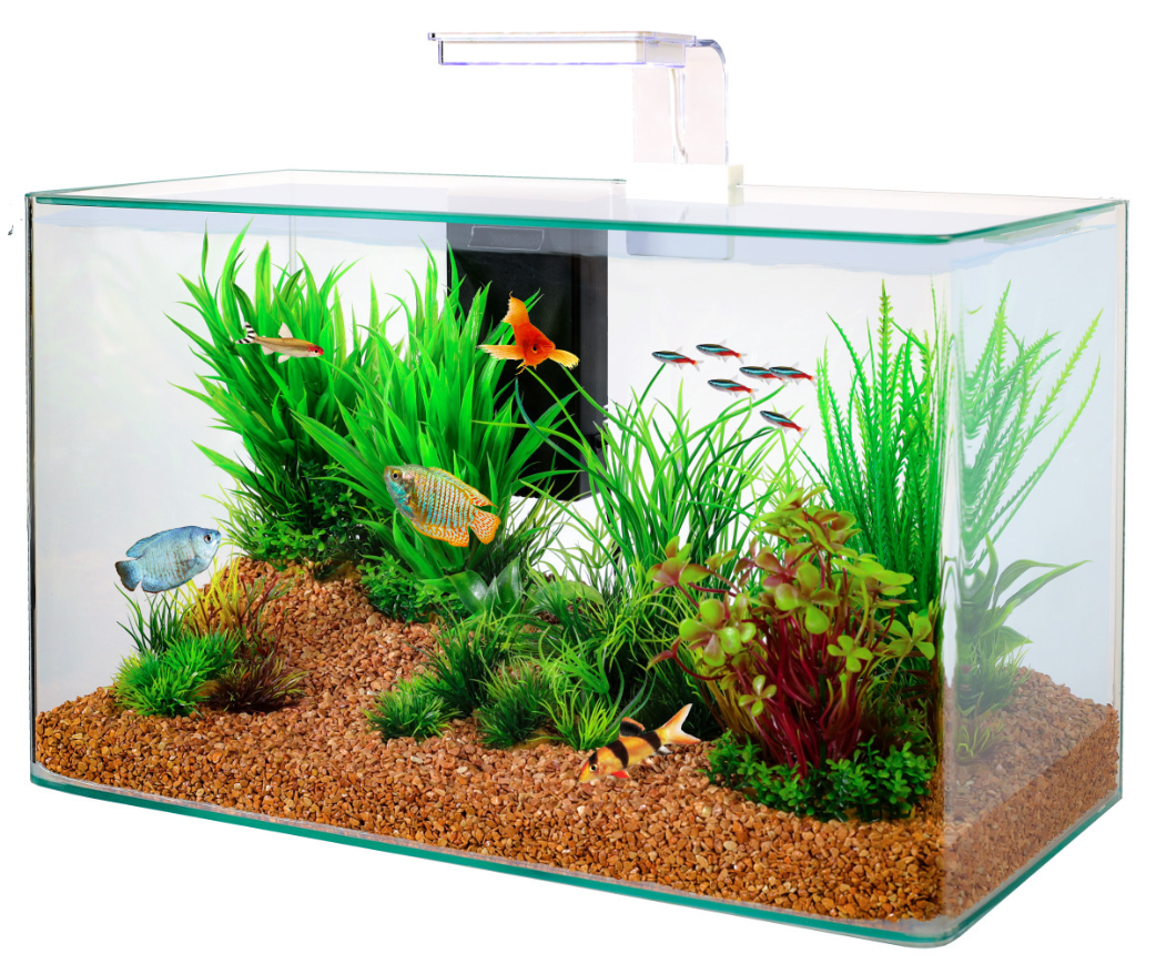 Les produits   Aquarium et meuble - Kit aquarium