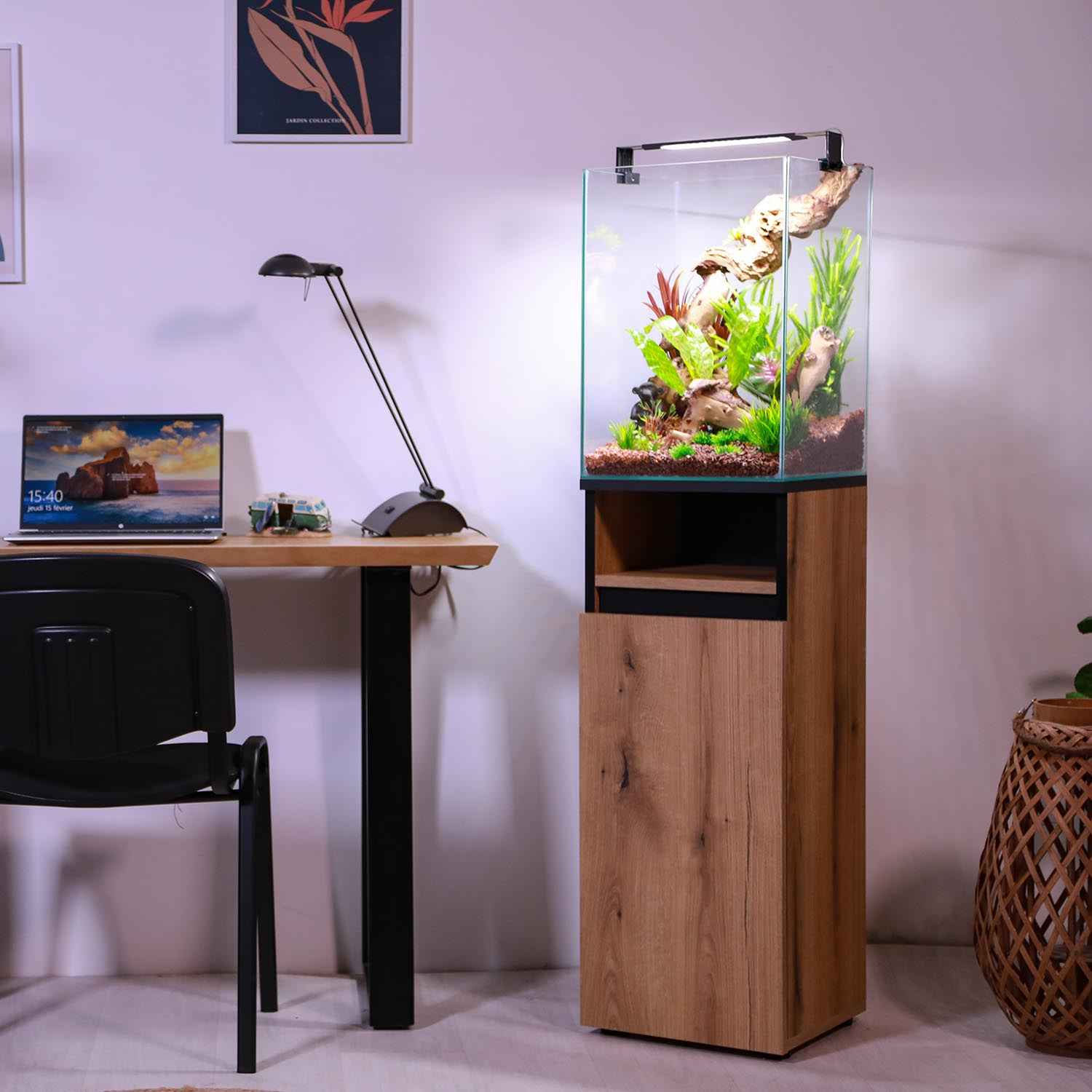 Aquarium Colonne Occasion