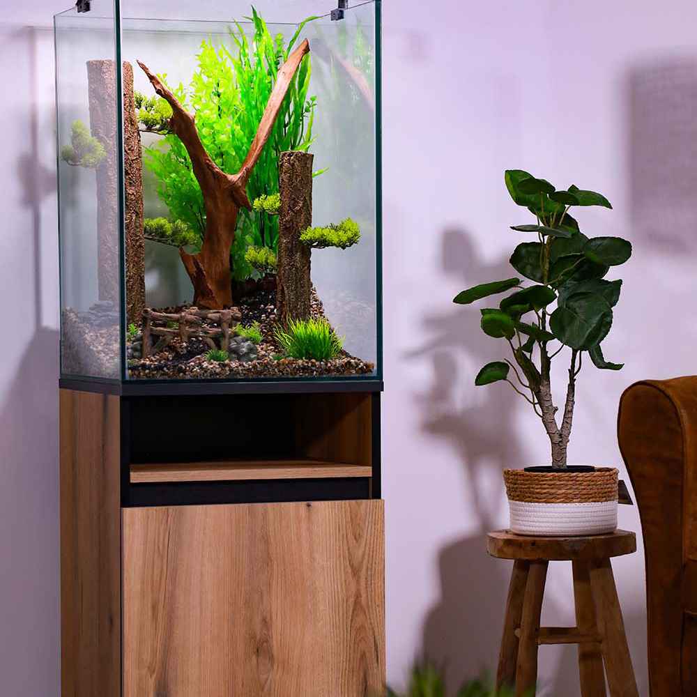 Aquarium Colonne Occasion