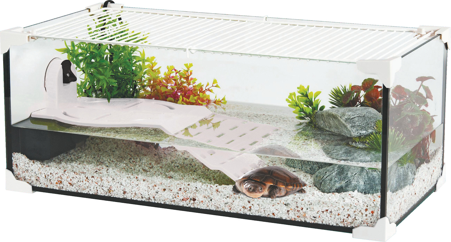 Kit terrarium tortue aquatique karapas pro (blanc)