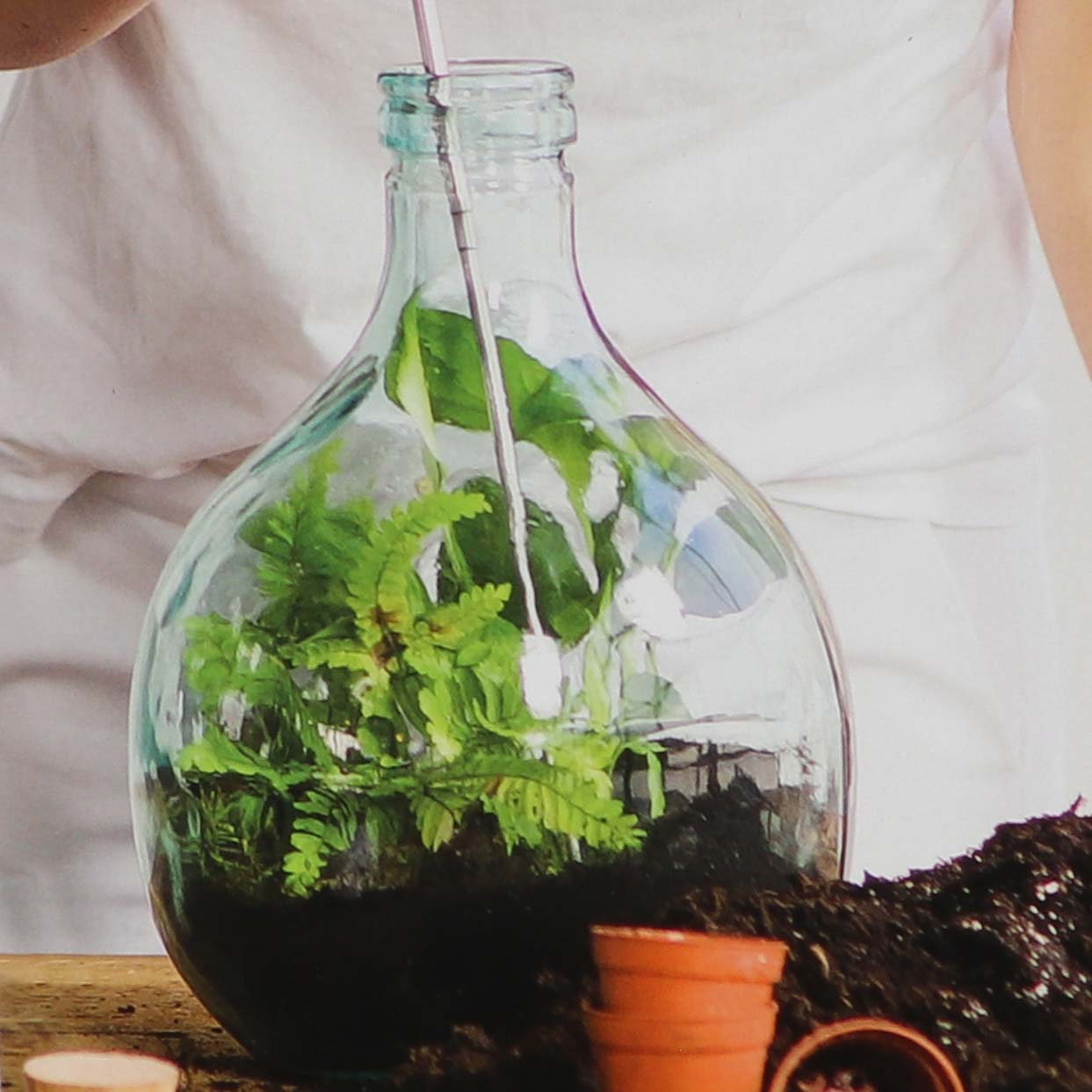 Kit terrarium végétal à faire soi-même diy (5 litres)