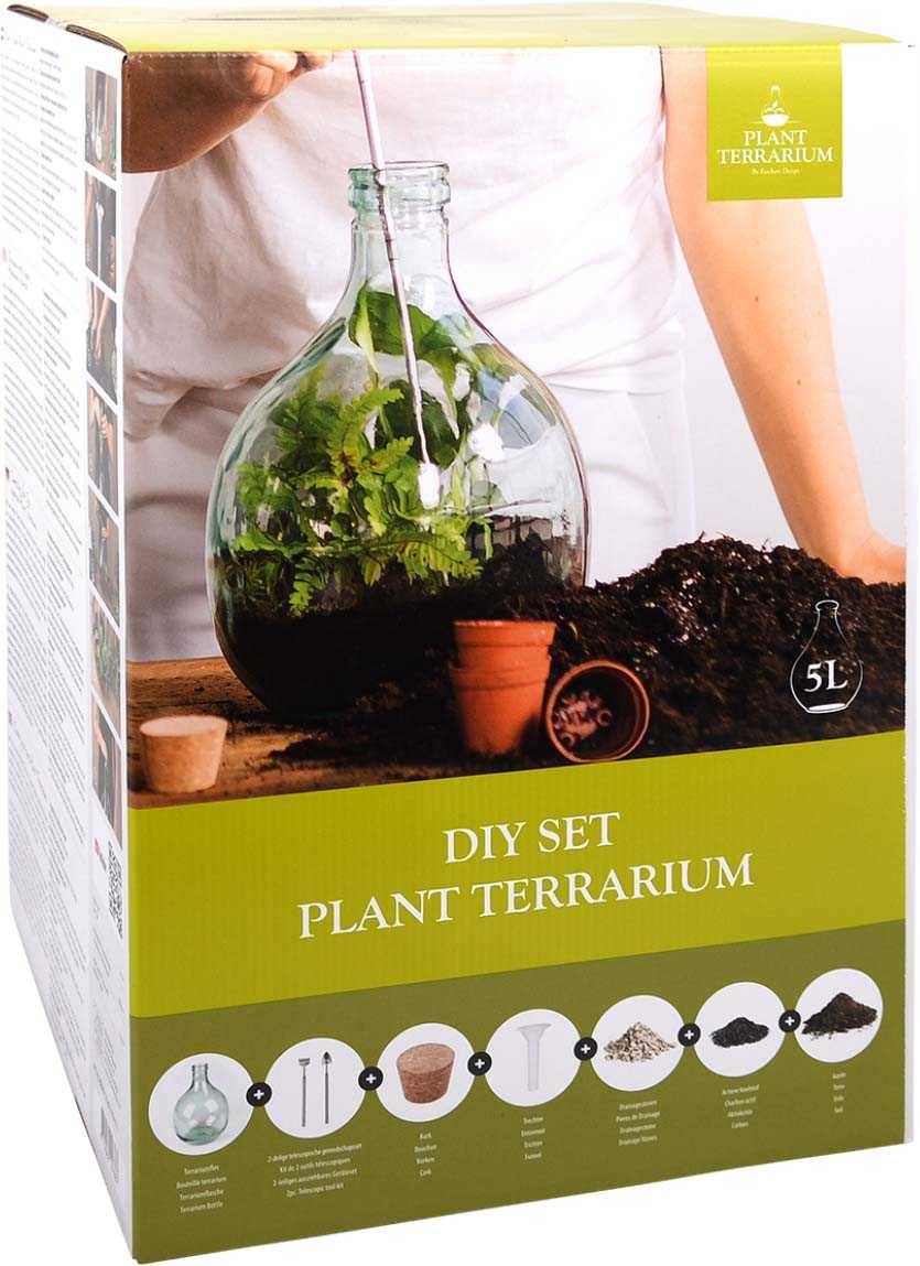 Kit terrarium végétal à faire soi-même diy (5 litres)