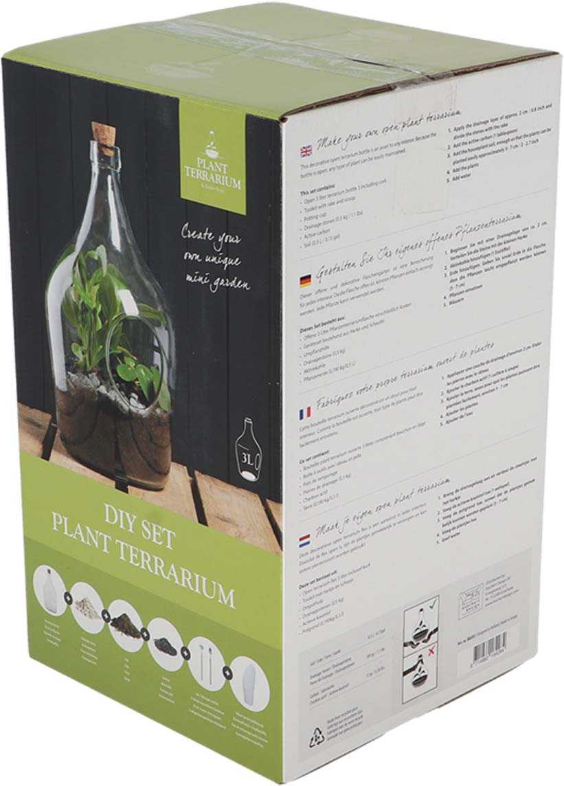 Kit terrarium végétal à faire soi-même diy (3 litres)