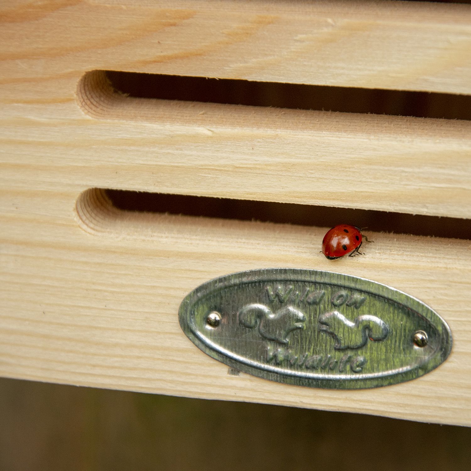 Maison à insectes en bois pochoir (coccinelles) — free download
