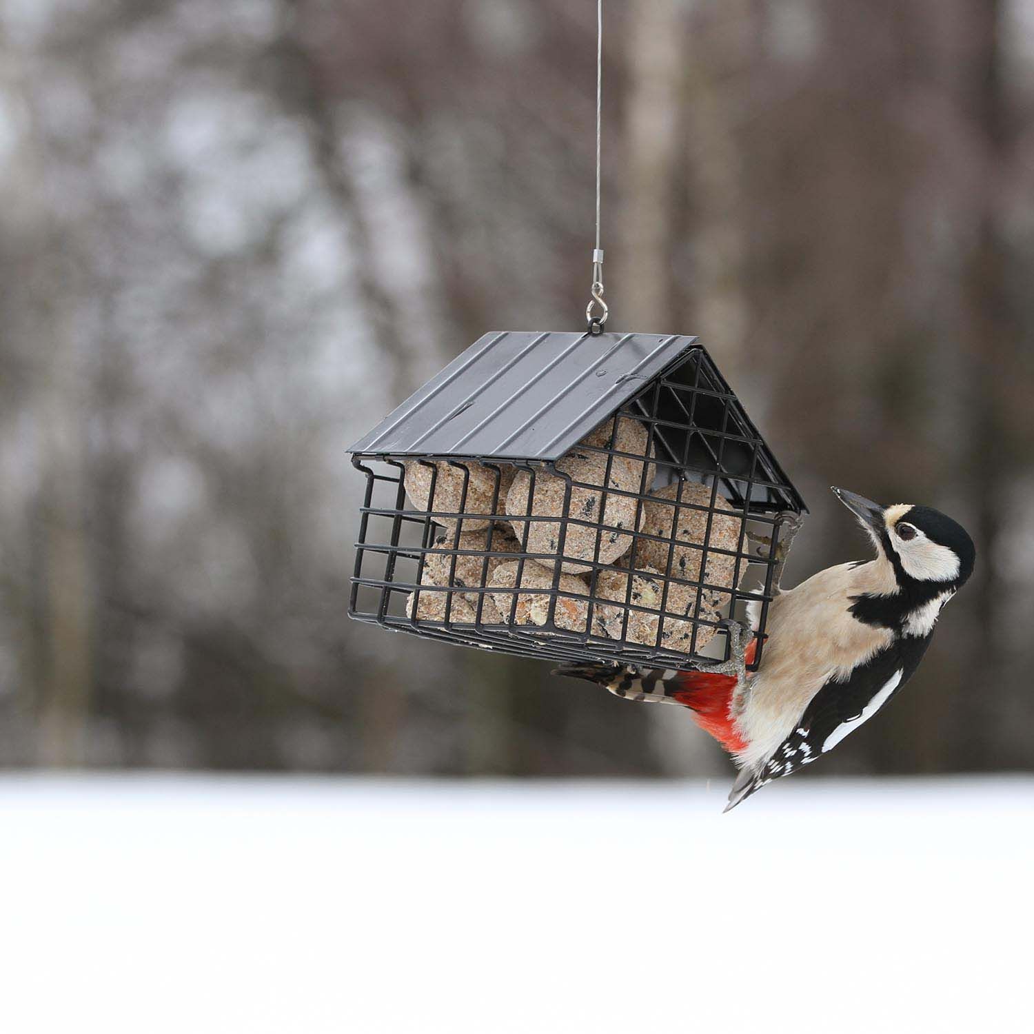 Mangeoire à Oiseaux Extérieur Avec Support Boules De Graisse