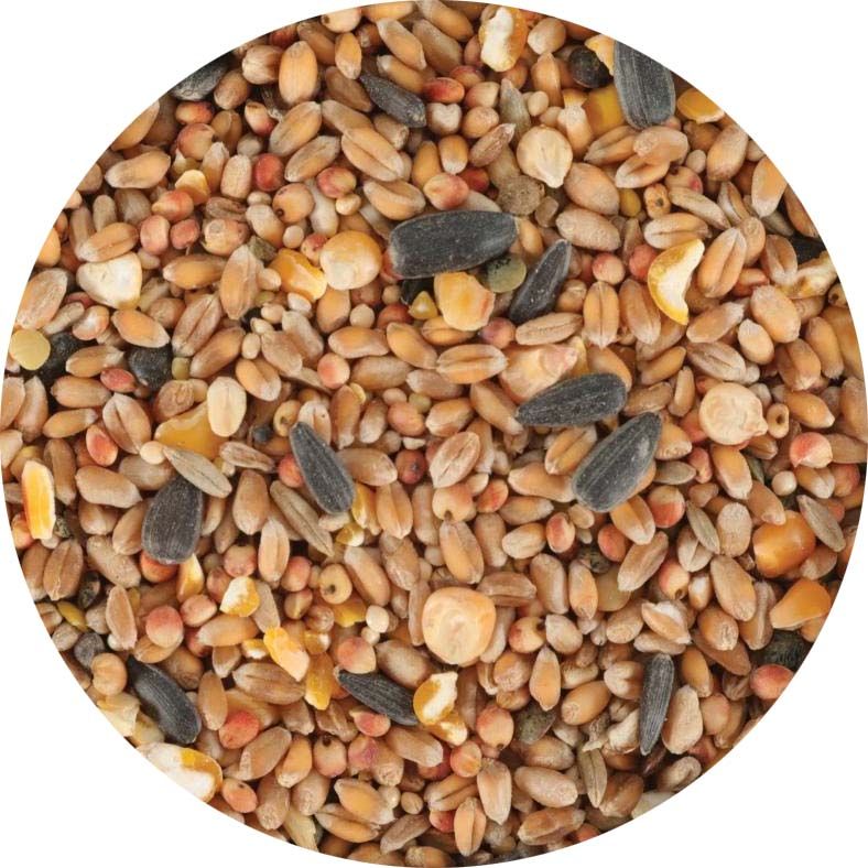 Mélange De Graines Pour Perroquets HappyBird Tropical Carnival - 750g, Alimentation Variée Et équilibrée