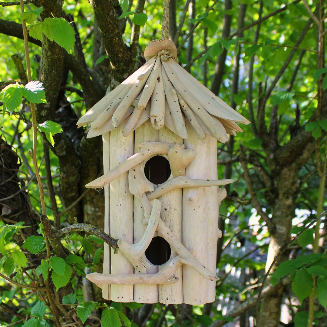 Noix De Coco Nichoir Coco Kerbl 12cm - Avec Corde De Suspension