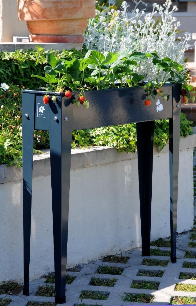 Potager surélevé de balcon