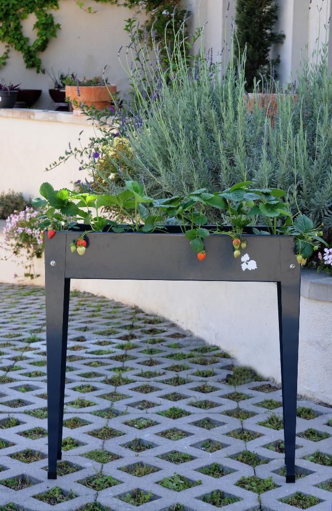 Potager surélevé de balcon