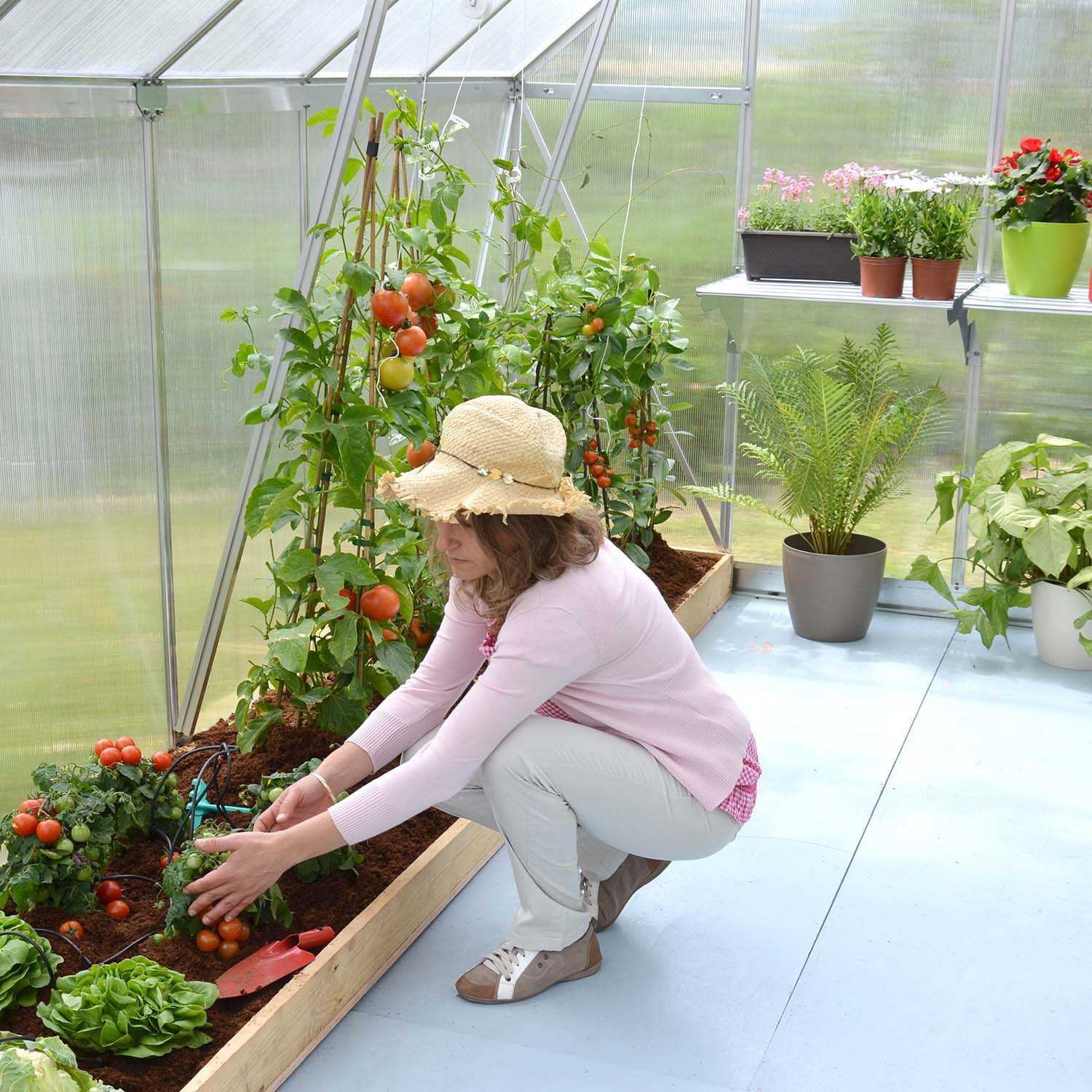 Canopia By Palram Serre De Jardin Harmony 4.6m² (Argent) Cadre En