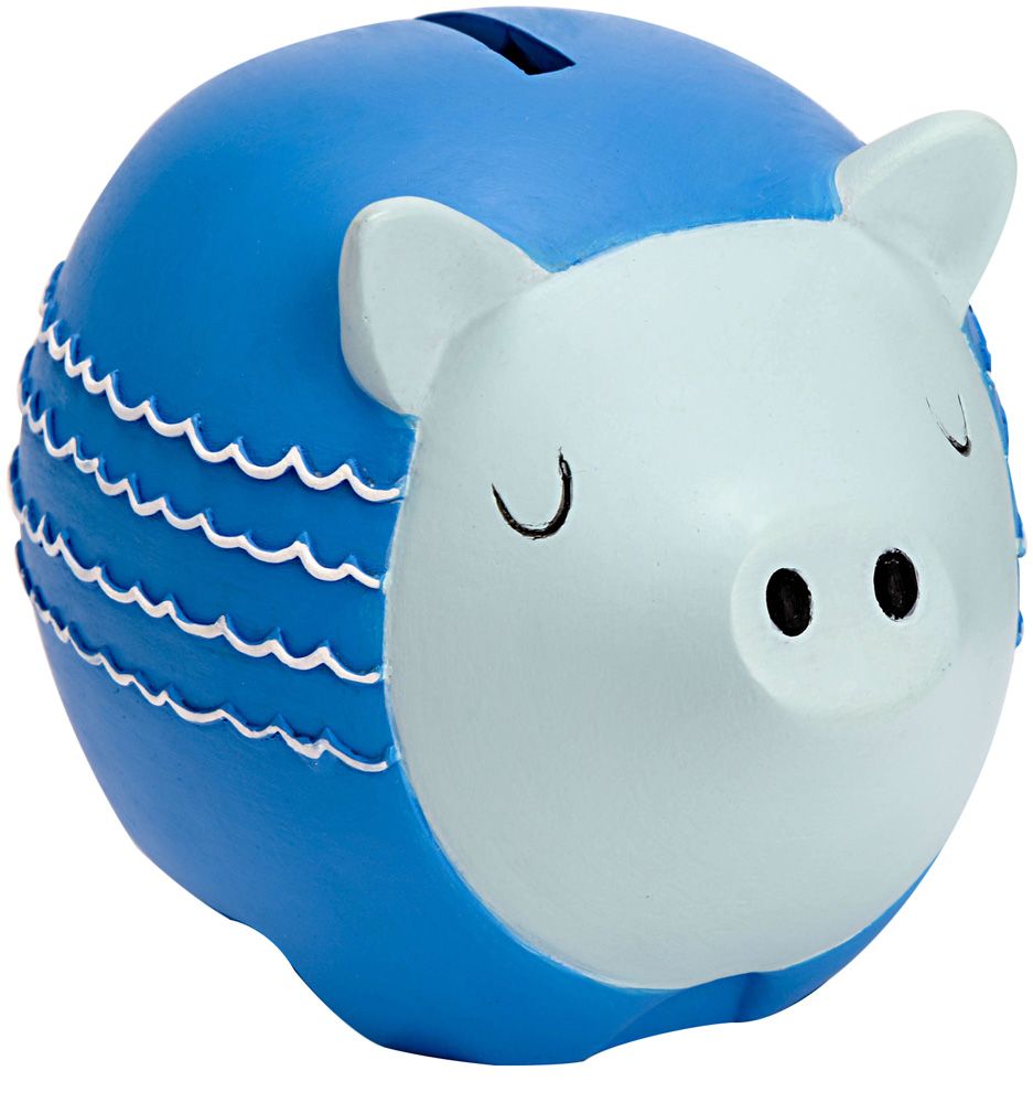 magique bleu porcelaine cochon en forme de tirelire boîte à billets pour  sauver des pièces de monnaie porcelaine tirelire en forme de cochon