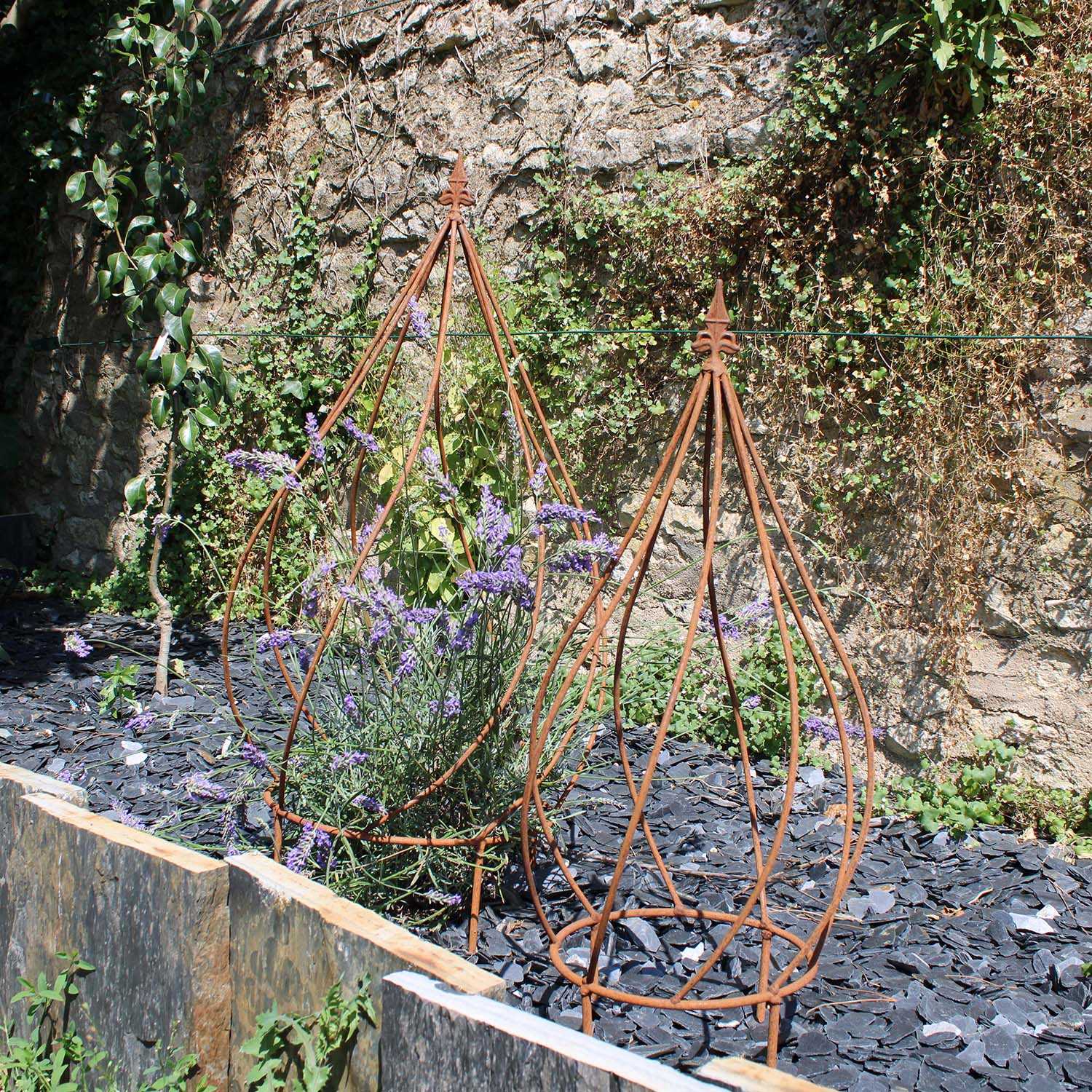 Grille de fenêtre en fer forgé Rose appointée
