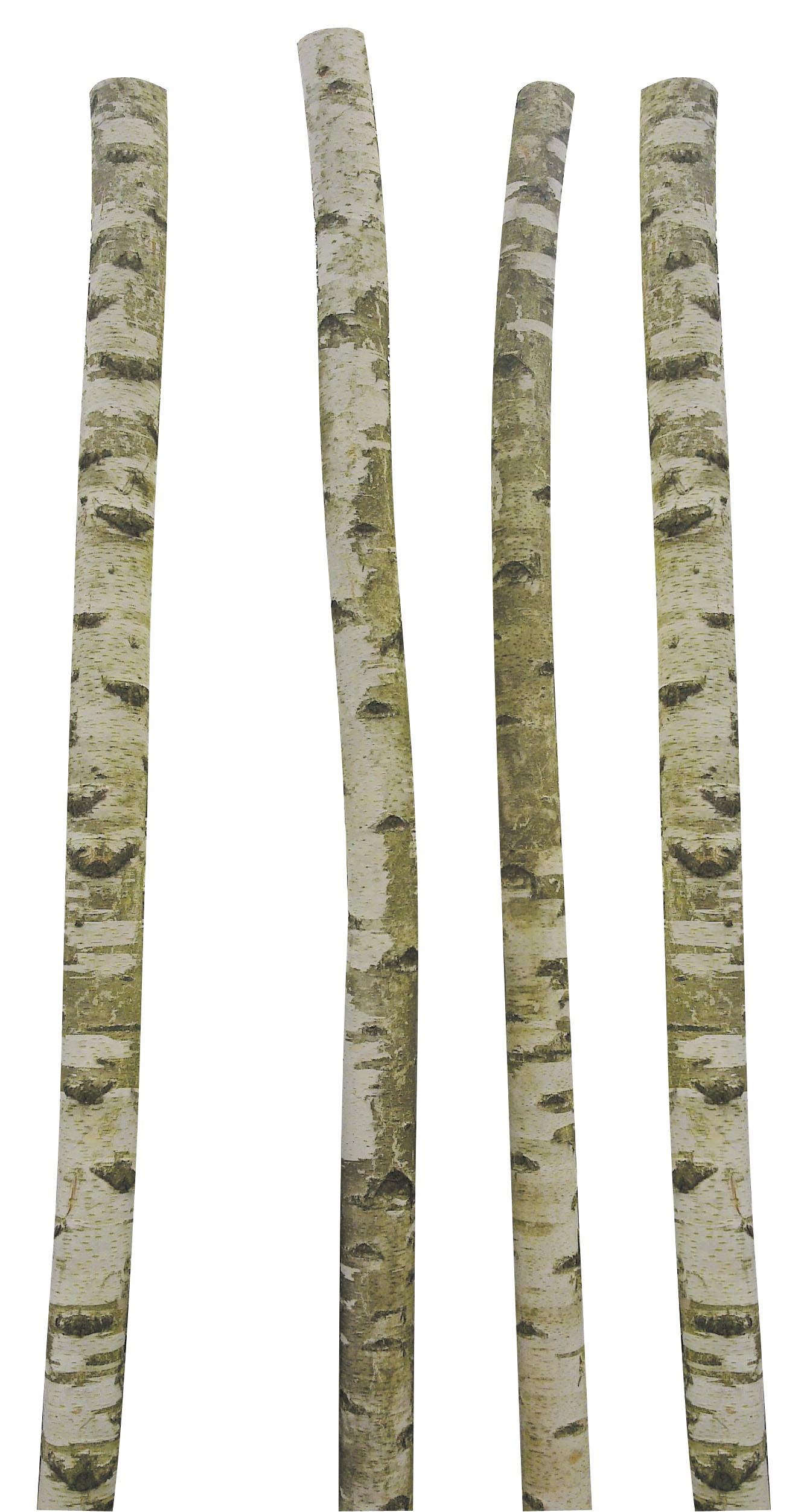 Troncs de bouleau décoratifs 250cm Jardindeco