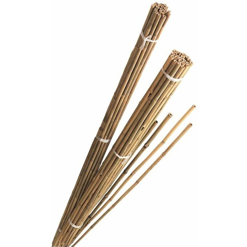 Tuteur bambou 1m80 lot de 10 Tuteur bambou 1m80 lot de 10