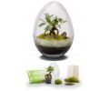 Avis client pour Kit terrarium plantes Diplo : 4 sur 5